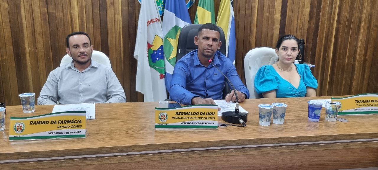 Vereadora Thamara Reis solicita instalação de corrimão com maior acessibilidade na rampa de acesso da prefeitura